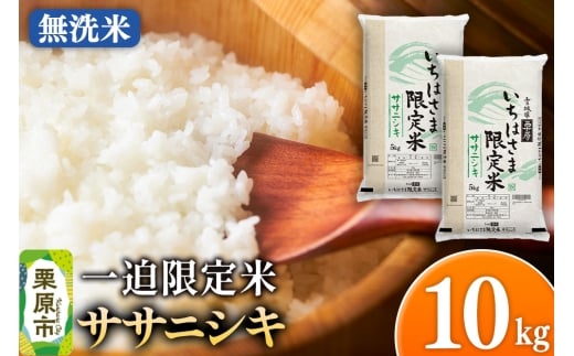 【無洗米】令和7年産 一迫限定米  ササニシキ 10kg（5kg×2袋）