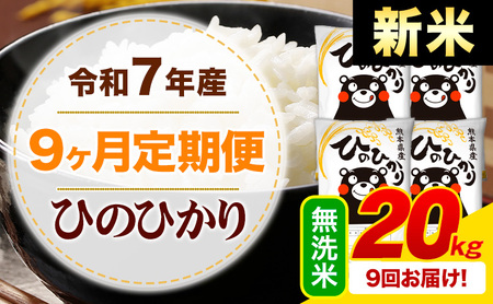 【9ヶ月定期便】新米 令和7年産 無洗米 ひのひかり 定期便 20kg《申込月の翌月から出荷開始》熊本県産 ふるさと納税 精米 ひの 米 こめ ふるさとのうぜい ヒノヒカリ コメ お米