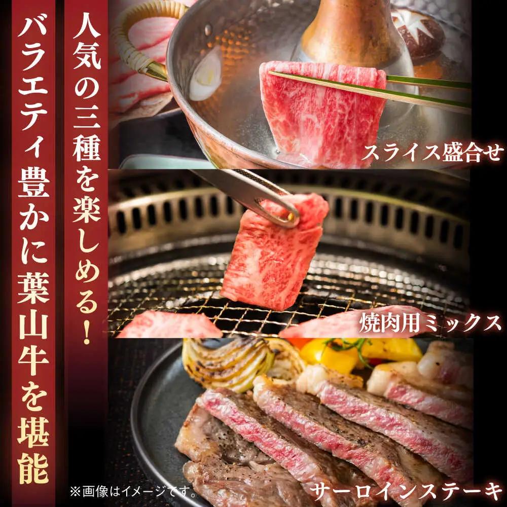 【隔月定期便全3回】葉山牛 まんぷく定期便 牛肉(スライス盛合せ・焼肉用ミックス・サーロインステーキ) 食べ比べ[ASBD060]