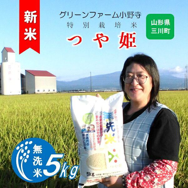 【ふるさと納税】令和8年産 グリーンファーム小野寺の【無洗米】つや姫5kg※10月中旬頃から順次配送予定（グリーンファーム小野寺）