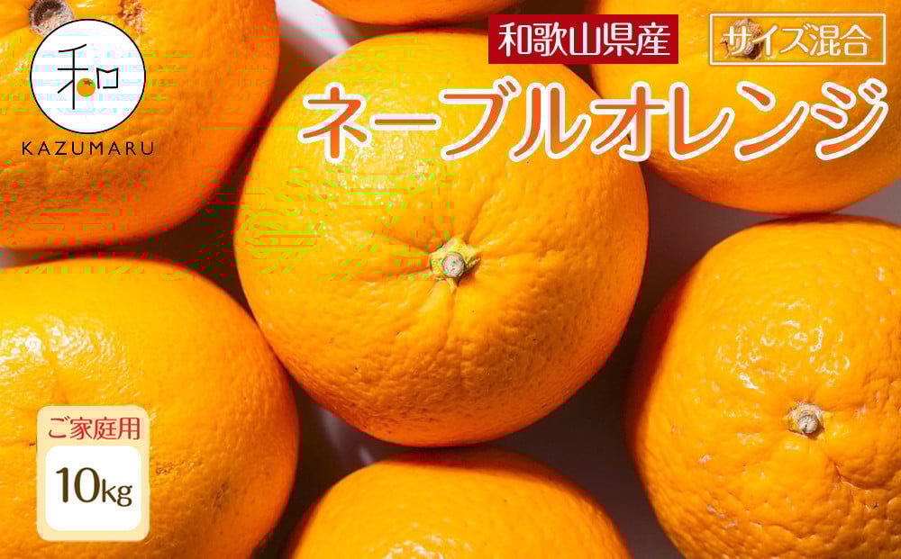 
            家庭用 森本農園の手選別ネーブルオレンジ 10kg 和歌山県産 サイズ混合 ［北海道・沖縄・離島配送不可］［RN35］［2026年1月上旬から順次発送］
          