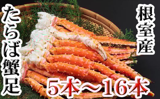 C-70077【年内配送可】 【北海道根室産】ボイルたらば蟹足5本～16本(計1～1.2kg)