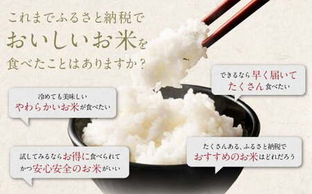 阿蘇のお米 12kg (6kg×2袋) 【14営業日発送】 精米 お米 米 おすすめ 人気 ランキング
