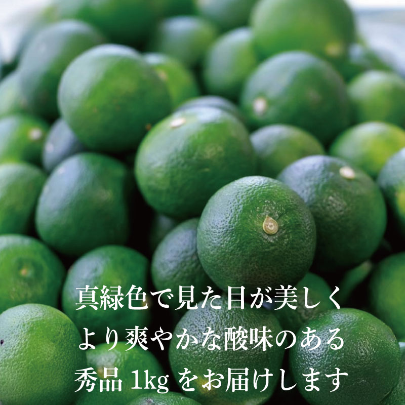 すだち 秀品 1kg 徳島県産 9月のみ発送 先行予約 魚 ホタテ 鮭 サーモン さば ぶり まぐろ うなぎ さんま 刺し身 肉 牛タン ステーキ 牛肉 豚肉 鶏肉 そうめん 米 ご飯 寿司 パスタ 