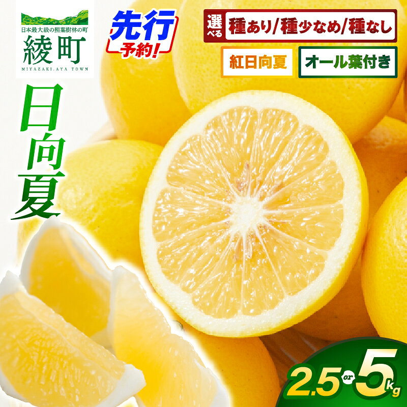 【ふるさと納税】先行予約 《選べる種類・内容量》 初春の旬 日向夏 2.5kg 5kg 果物 フルーツ くだもの 柑橘 種あり 種少なめ 種なし オール葉付き フルーツサンド おやつ スイーツ デザート ジャム おすすめ ギフト 贈り物 贈答 プレゼント おすそ分け 宮崎県 綾町 送料無料