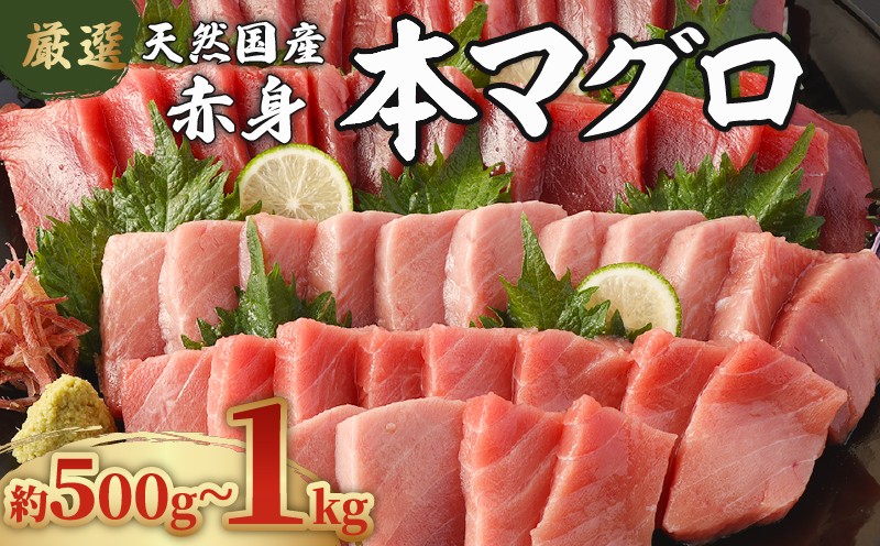 
                  【容量選べる】 厳選 天然本マグロ 赤身 500g 1kg 以上 国産 マグロ 鮮魚 刺身 刺し身 漬け丼 海鮮丼 おかず 魚介類 海鮮 海産物 まぐろ 本まぐろ 鮪 ブロック 500グラム 惣菜 冷凍 スピード発送 美阿丸 高知県 室戸市
                