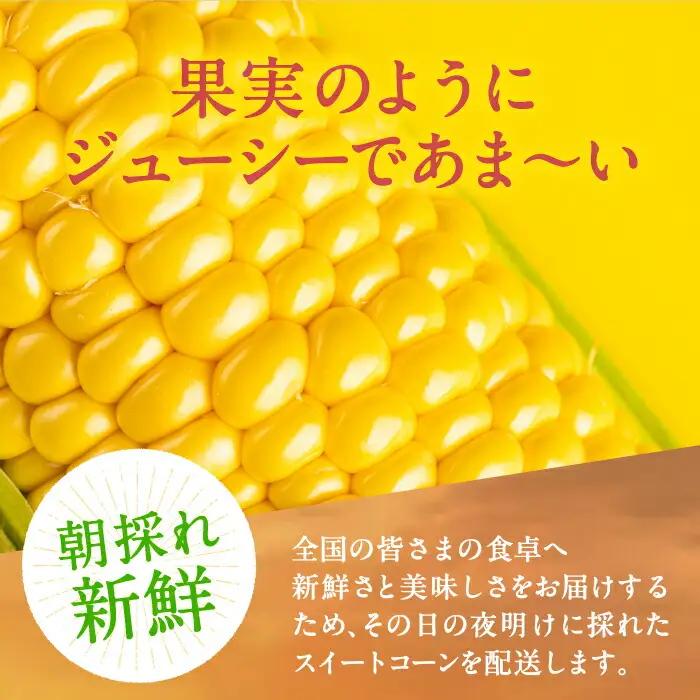 【先行予約】夜明けのスイートコーン 4kg×2箱 14-20本 [VCO002] コーン とうもろこし