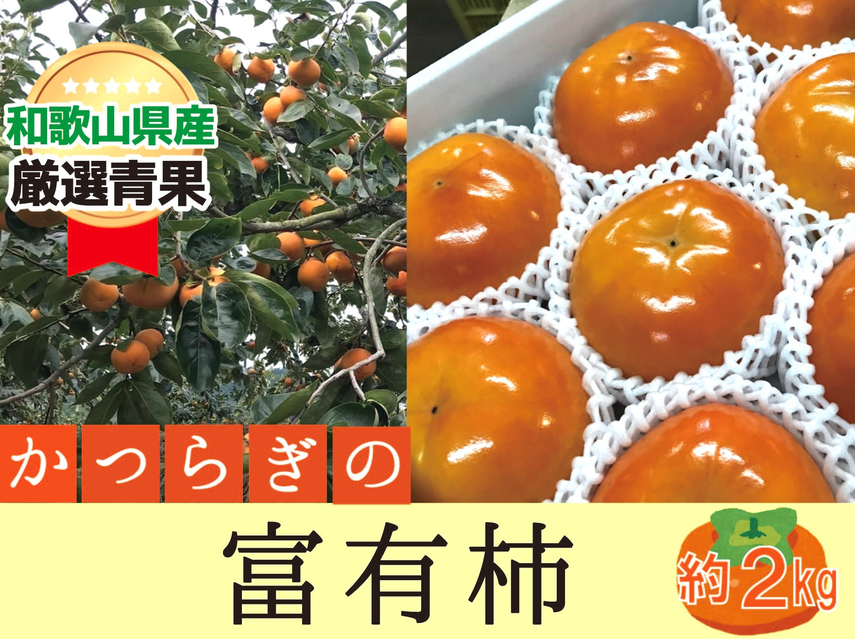 
                  柿 富有柿【秀品】和歌山県産 約2kg【2026年11月中旬から12月上旬発送】【A242-frks136A】
                