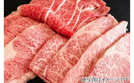 
那須和牛焼肉セットA5（カルビ・もも・肩肉 各470g）牛肉 国産 冷蔵 冷凍 焼肉〔E-5〕
