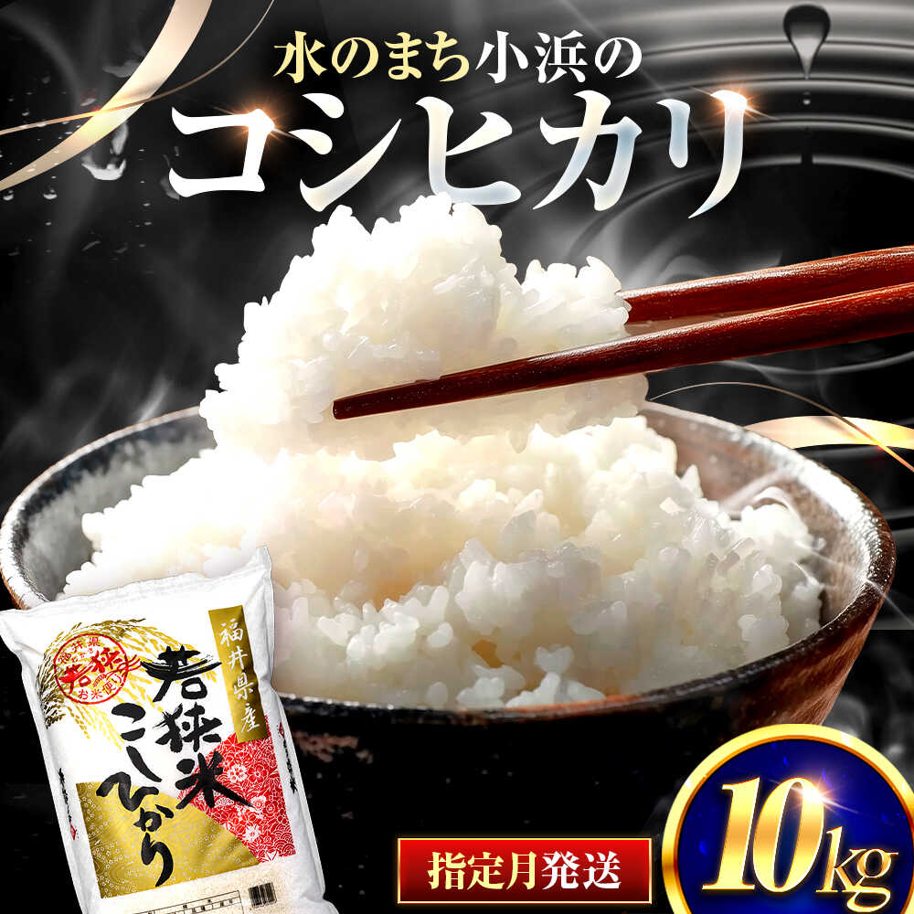 【ふるさと納税】【選べる発送月】 福井県産 コシヒカリ 精米 (白米) 10kg 一等級 福井県米 / 甘みと粘りが際立つ 王道米 こしひかり 小浜市 / 若狭ふれあい市場[BFEL018]