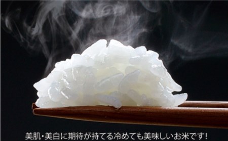 【定期便】 白米 令和7年産夢しずく5kg NAO049 全6回 白米