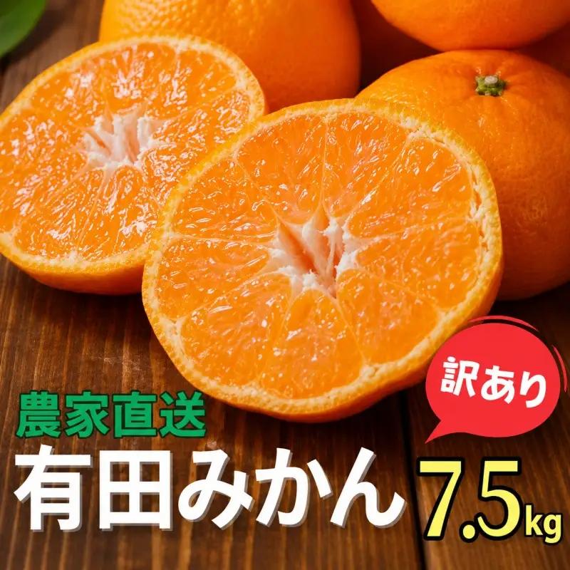 農家直送 有田 みかん 訳あり 7.5kg 光センサー 選別 / 温州みかん 有田みかん 甘い 家庭用 和歌山 柑橘 ※11月中旬～1月中旬に順次発送 ※北海道・沖縄・離島への配送不可 【nuk004-noka-c7d5I】