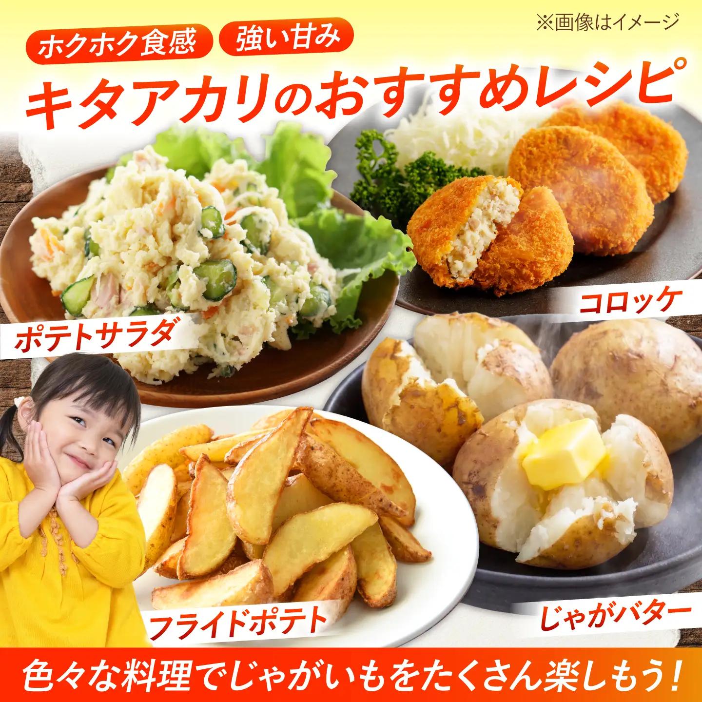 じゃがいも キタアカリ 20kg | じゃがいも ジャガイモ キタアカリ 野菜 季節の野菜 北海道 産地直送 先行予約 | 株式会社Aコープようてい[BPAT006]