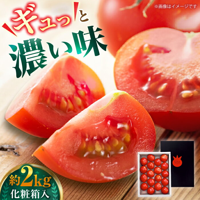 【ふるさと納税】【先行予約】リサフルーツトマト 約2kg トマト とまと 野菜〈2026年1月上旬～2026年5月末頃発送〉 【株式会社 堀】[ATDA003]
