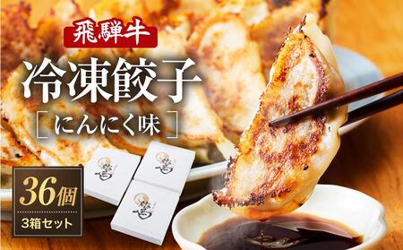 飛騨牛冷凍餃子 3箱（にんにく味）| たっぷり36個！  NL003｜ 高山市 餃子