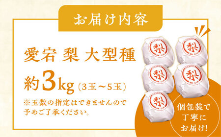 【12月上旬発送開始】愛宕梨 約3kg (3玉-5玉) / フルーツ 果物 なし ナシ くだもの なし 梨 なし くだもの [AFAR025]
