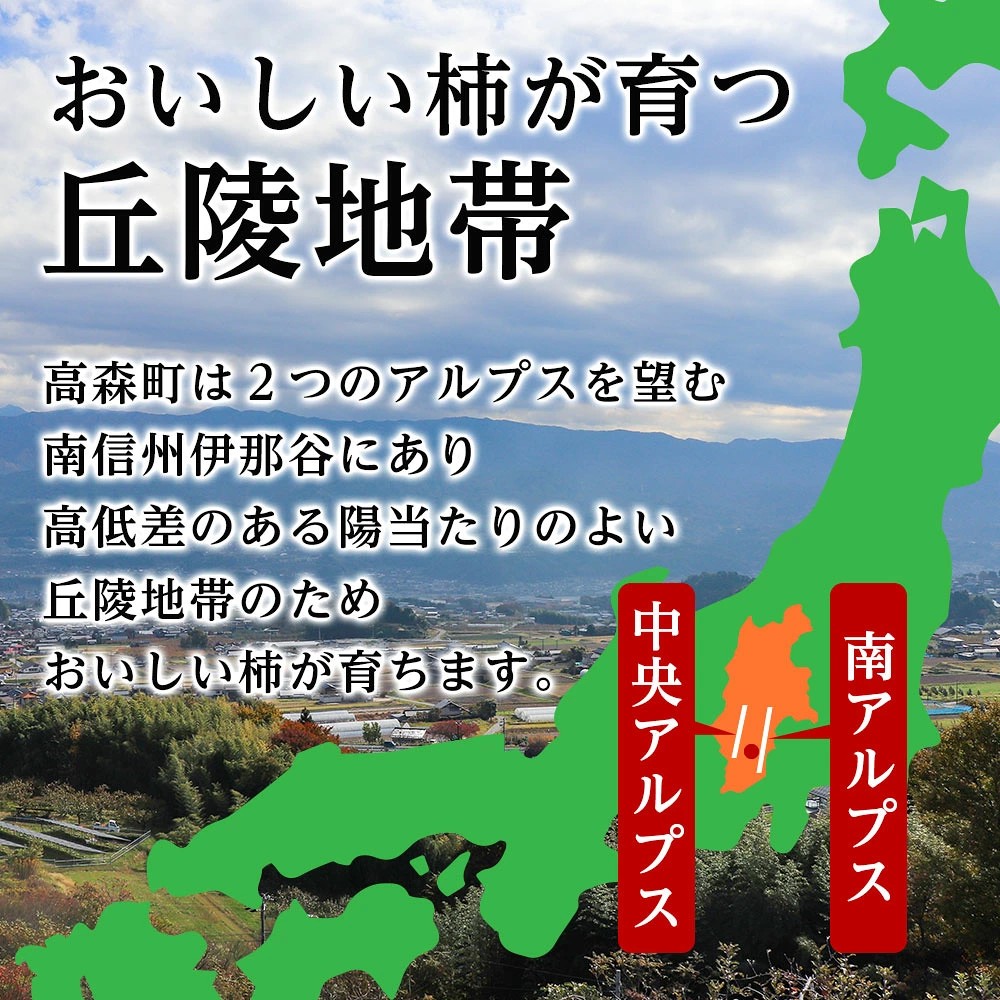 【長野県産】南信州に伝わる伝統の味「市田柿」500g ＜2027年1月中旬から発送＞ 信州 南信州 高森町 柿 干し柿 かき 高級 和菓子 お茶請け ドライフルーツ 自然食品 山下屋荘介