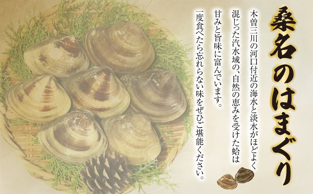 マルヨシ水産 桑名産中粒天然蛤 1.3kg