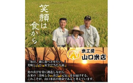 B-108 卵かけご飯専用米!コケコッコ(TKG専用米)計10kg(5kg×2パック)【山口米店】