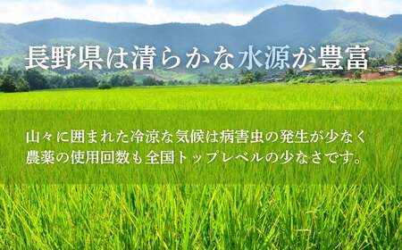 長野県産 もち米 10kg 令和7年産｜ もち米 千曲市 長野県 信州