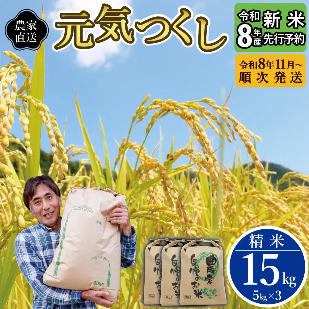 【先行予約】【2026年11月より順次発送】《令和8年産》 福岡県大川市産 米 「 元気つくし 」 5kg×3個 計15kg | お米 米 こめ 精米 白米 ライス ブランド米 ごはん ご飯