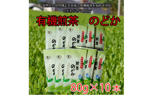 有機煎茶　のどか　80g×10本入【1546185】