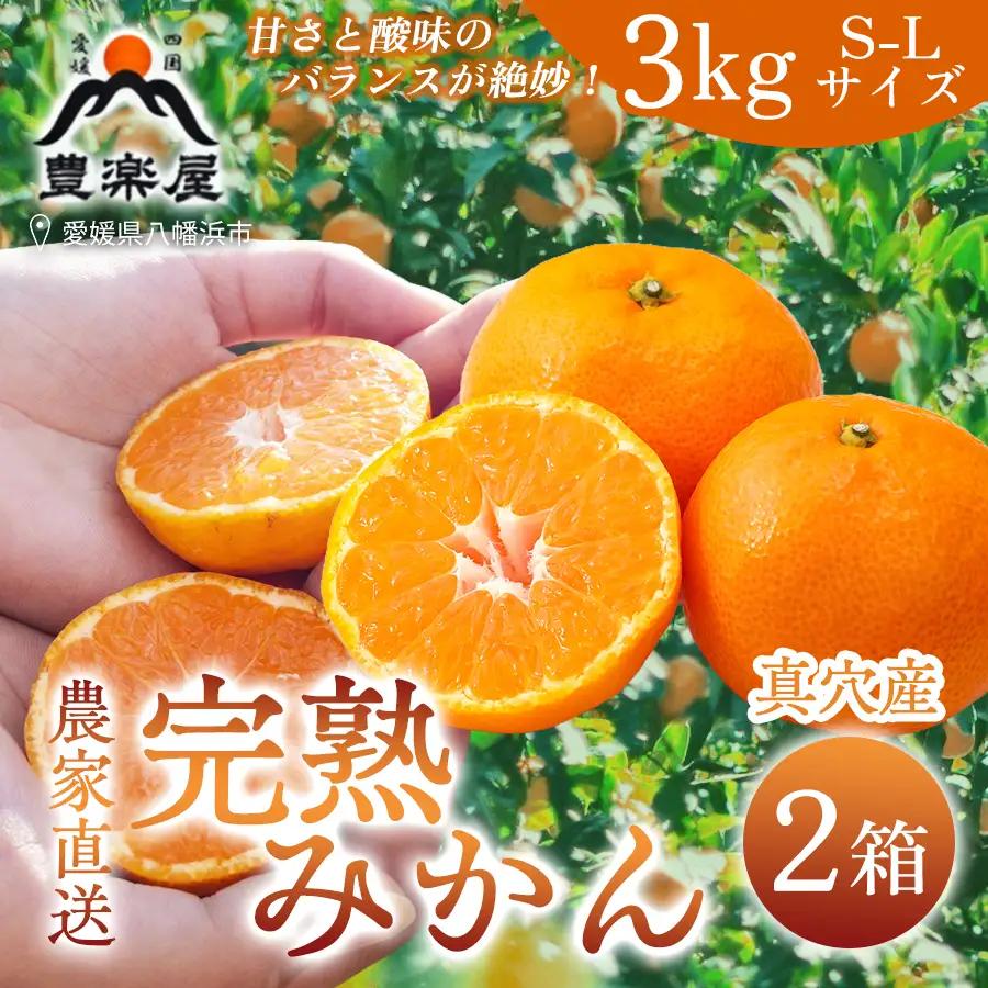 【先行受付】【農家直送でお届け！】果汁たっぷり真穴産みかん 3kg×2箱(S~Lサイズ)【G98-16】【1711295】 YWTBU016