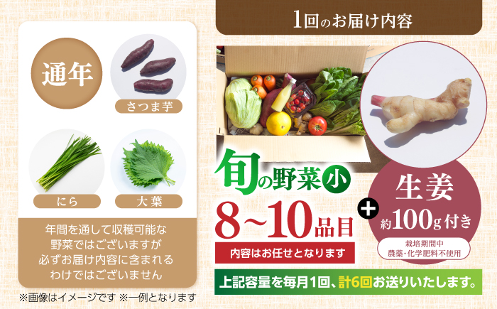 【6回定期便】 土佐の太陽をいっぱいに浴びた旬の野菜生姜約200gのセット「小」 【土佐野菜】 [ATBA012]