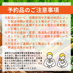 訳あり りんご 定期便 2回（約5kg） / 岩手県 遠野市 産 松陽園 11-12月 発送 10月31日受付終了