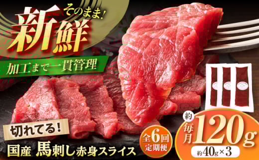 【全6回定期便】まな板不要! フジチク 切れてる 国産馬刺し 3P 計約120g / 定期便 専用醤油付き 生姜付き おすすめ 馬刺 赤身 国産 赤身馬刺し ばさし 冷凍 熊本県 菊陽町【株式会社フジチク】 [BHAD103]