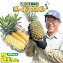 【ふるさと納税】ゴールドバレル【パインアップル】(2玉）約3.5kg　ふくしま農園の自信作！◆2025年発送◆ ゴールドバレル パイナップル 高品質 新鮮 ジューシー 希少 高い糖度 大玉 甘い トロピカル パイン 生産量日本一 高級フルーツ 南国フルーツ 国産フルーツ 完熟