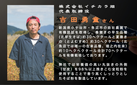 有機そば全粒粉100％使用 グルテンフリー太麺 有機そば 十割 180g×12個セット イチカラ畑 【0021-0011-01】