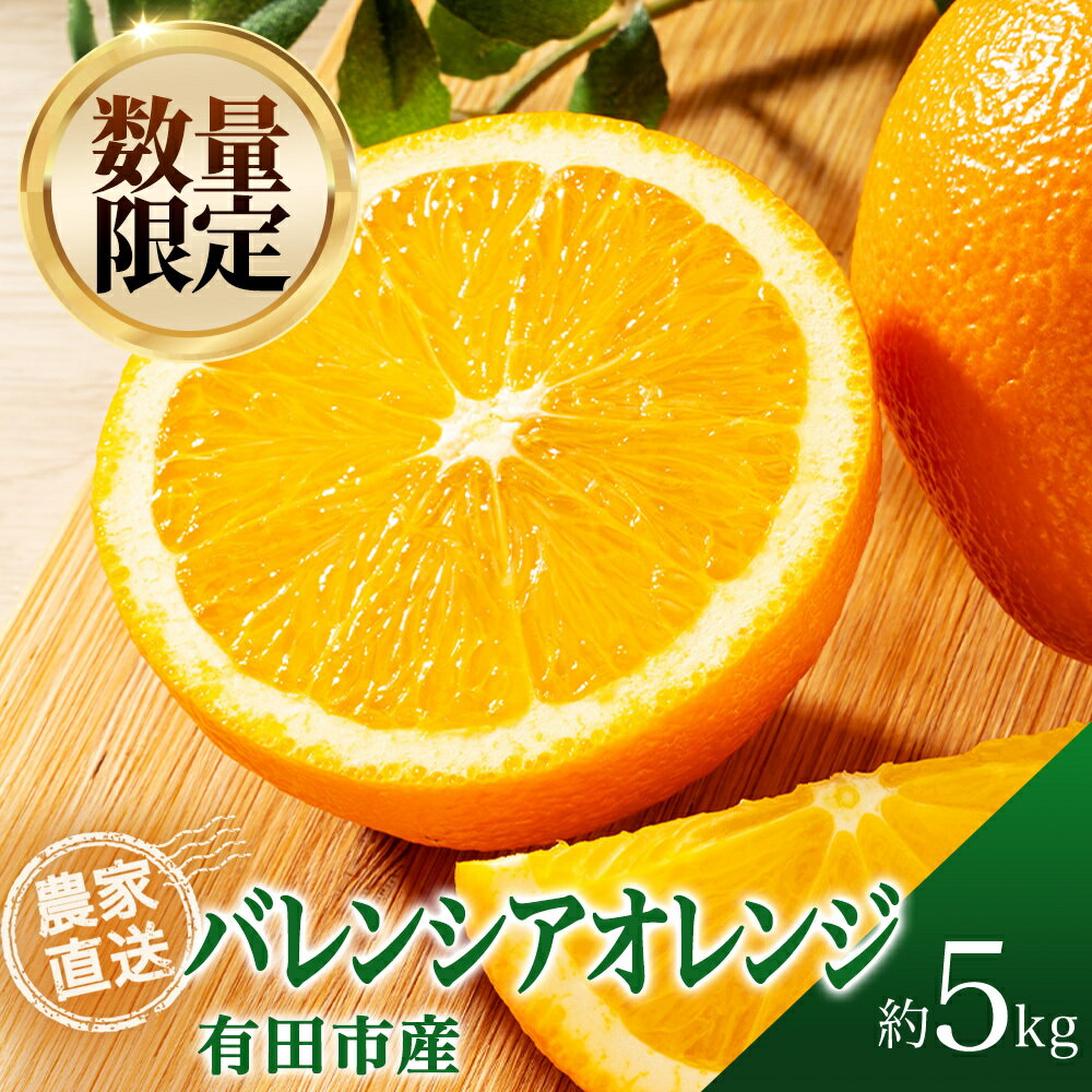 【ふるさと納税】数量限定：有田市生まれのバレンシアオレンジ（5kg）（A212-1）