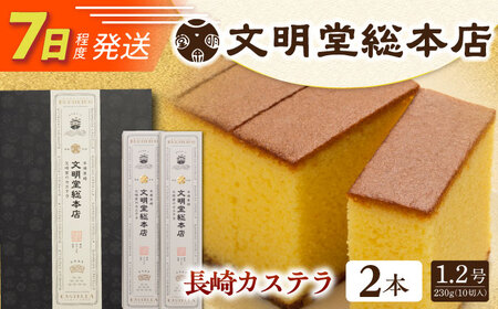 【お中元対象】7日発送）長崎カステラ2本[EAK026]カステラ