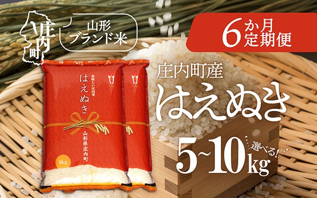 
                  ＜毎月中旬発送＞庄内米6か月定期便！はえぬき 選べる配送開始月 内容量 5kg / 6kg / 10kg ブランド米 2025年産 精米 米 お米 白米 山形 庄内地方 庄内平野 コシヒカリの原点、亀の尾発祥の地 庄内 定期便 定期
                