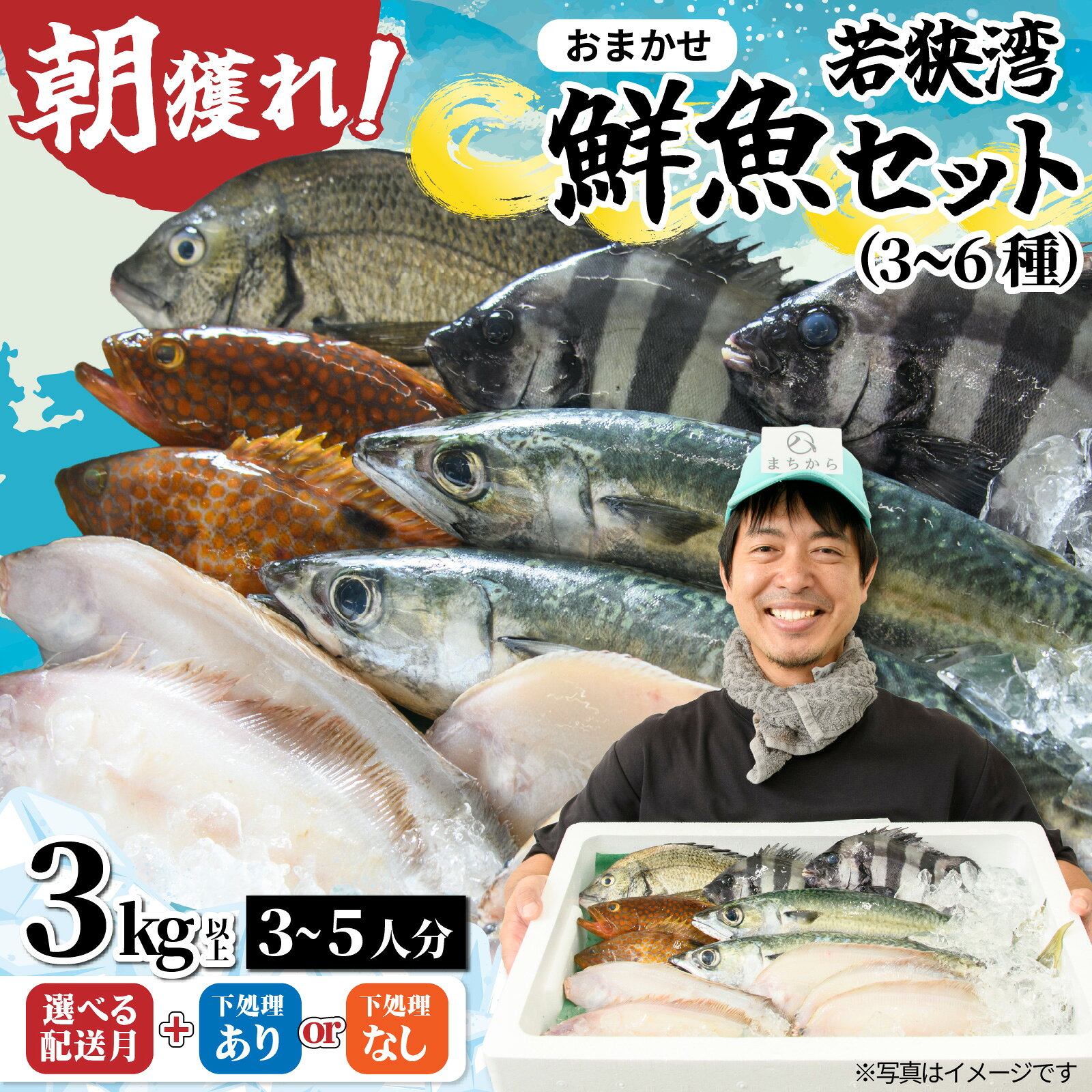 【ふるさと納税】【選べる発送月・選べる下処理ありなし】若狭湾鮮魚セット ｜おまかせ3kg以上（3～6魚種）※着日指定不可 配送月 朝獲れ 朝どれ 旬 3~5人分