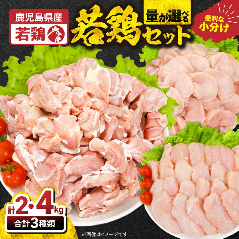 【ふるさと納税】＜選べる容量＞ 若鶏 セット 2kg or 4kg カット済 国産 鶏肉 鶏 鶏モモ もも肉 切身 むね肉 筋なし ささみ 唐揚げ 小分け 真空 冷凍 冷凍保存 大容量 ボリューム TRINITY 鹿児島 鹿屋市 おすすめ ランキング プレゼント ギフト