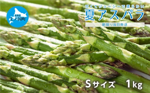 【2025年夏発送】北海道上ノ国町産 寅福菜園の夏アスパラ　S（1㎏）