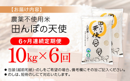 《6ヶ月定期便》農薬不使用こしひかり 10kg（5kg×2袋）×6ヶ月連続 計60kg  令和7年産 特別栽培米コシヒカリ【精米】福井県認証区分1取得「田んぼの天使」越前町【5キロ お米 コメ 農薬化
