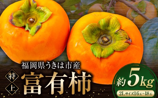 逸品富有柿 16玉から18玉 2Lサイズ (約5kg) 【2026年11月下旬-2026年12月上旬発送予定】 柿 果物 フルーツ うきは市