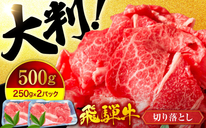 【いろんな料理に使える！】飛騨牛切り落とし500g