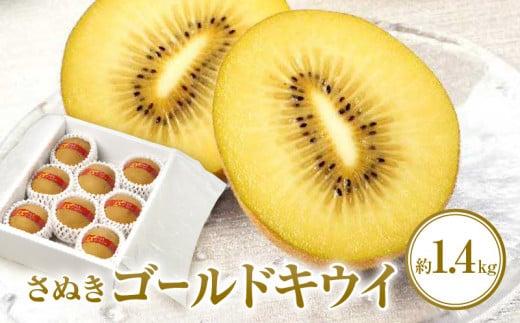 さぬきゴールドキウイ化粧箱　約1.4kg【2026年10月中旬～2027年1月下旬配送】 372013_T006-231J
