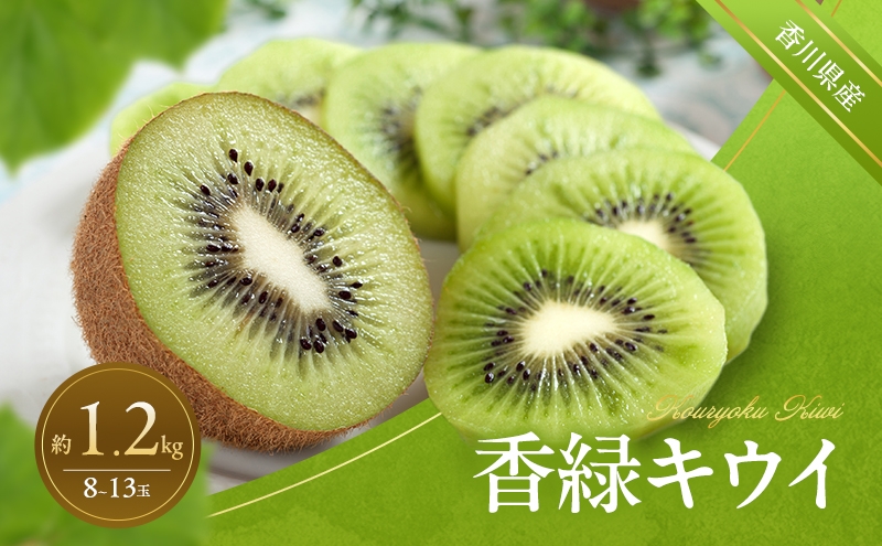 
                  [№4631-2786]香緑キウイ 約1.2kg キウイ キウイフルーツ フルーツ 果物 くだもの 果実 旬の果物 旬のフルーツ 香川 香川県 東かがわ市
                