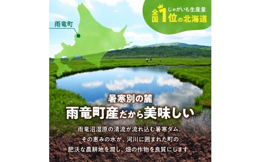【先行予約】2026年9月下旬発送 北海道産 じゃがいも食べ比べセット 「きたあかり・男爵」 5kg  ジャガイモ 芋 いも 秋野菜 季節の野菜 直送農場 北海道雨竜町産 サイズ混同 野菜 U012-