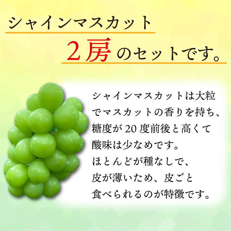 【9月下旬発送予定】シャインマスカット2房セット 約1kg (DH006) シャインマスカット2房