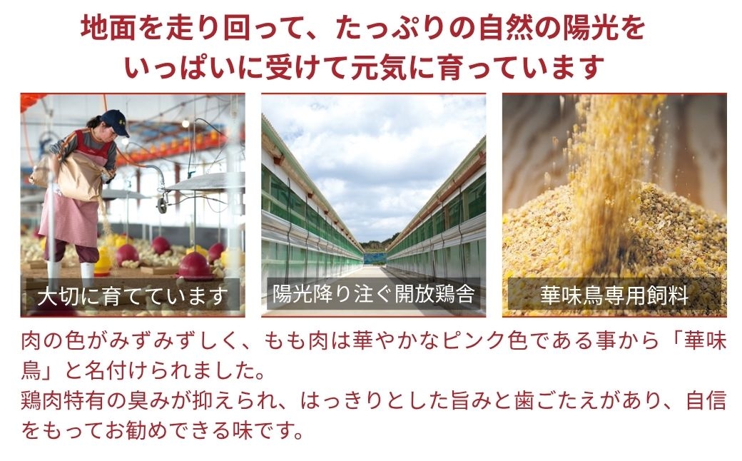 水たき料亭「博多華味鳥」の吟味されたスープと素材をご家庭で