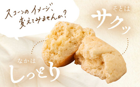 スコーンのイメージが変わる！定番スコーン12個セット 《糸島》【キナフク】 [AFA001] 洋菓子 卵不使用 スコーン お菓子 スイーツ個包装 セット スイーツ詰め合わせ スイーツ 焼菓子スイーツ 