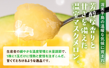 【先行予約】マスクメロン 1玉 メロン めろん マスクメロン フルーツ 果物 愛知県 田原市 渥美半島 お取り寄せ スイーツ ギフト 贈り物 プレゼント 贈答 贈答用 ニュー渥美 観光 1玉 2玉 3