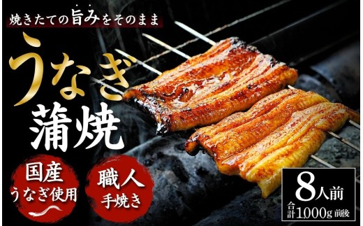 【父の日ギフト】 うなぎ うなぎ蒲焼 8人前  国産 うなぎ 鰻 ウナギ 蒲焼 うなぎ 蒲焼き 肉厚 うなぎ うなぎ ウナギ 鰻 冷蔵 希少 鰻 うなぎ ウナギ 鰻 人気 ウナギ うなぎ おすすめ ラ