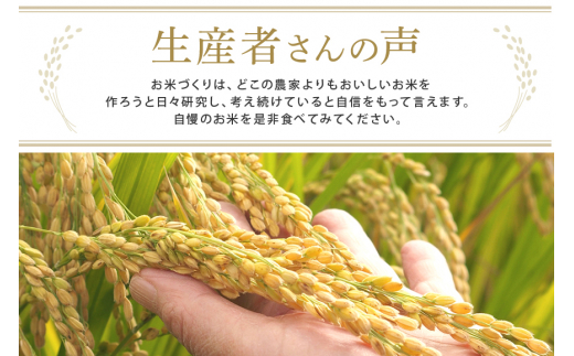 ＜2027年1月発送＞ 米 お米 精米 白米 コシヒカリ コシヒカリ 10kg（5kg×2） 令和7年産 茨城県産米 常陸大宮産米 常陸大宮産コシヒカリ 茨城県産コシヒカリ こめ コメ ご飯 10キロ